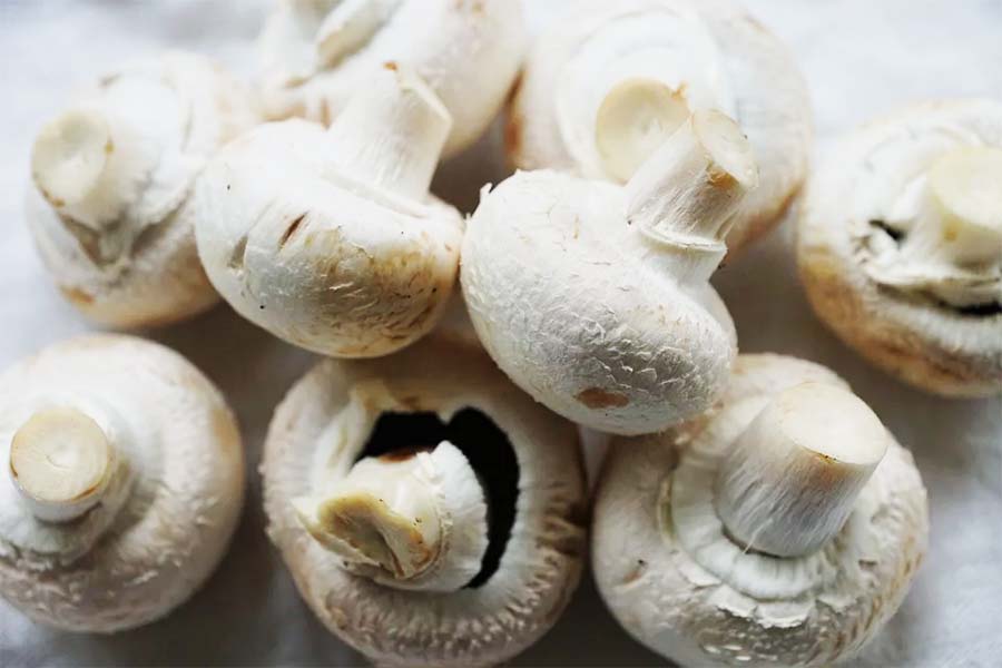 Comment cuisiner les champignons à la façon italienne ?
